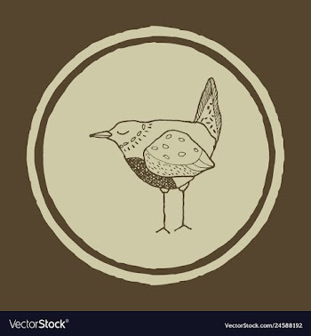 Funny hand drawn abstract bird ilustration vector image