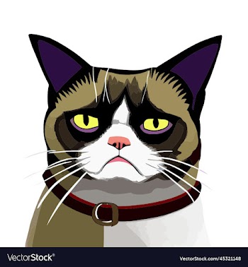 funny moody cat portrait