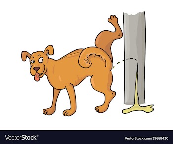 funny pissing dog with tongue out and raised leg