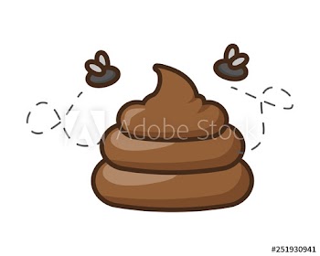 funny poop with flies