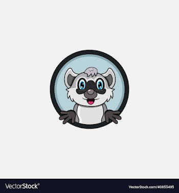 funny raccoon head character design perfect
