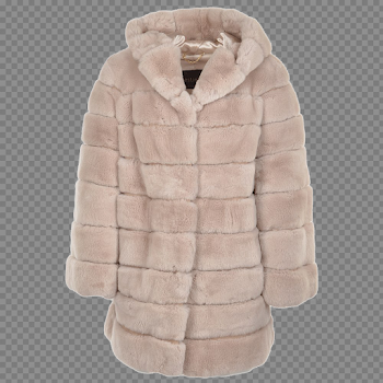 Fur Coat PNG Image