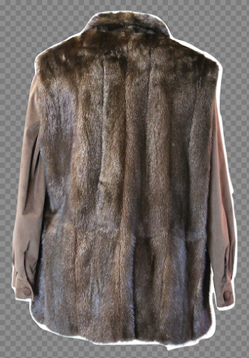 Fur Coat PNG Picture