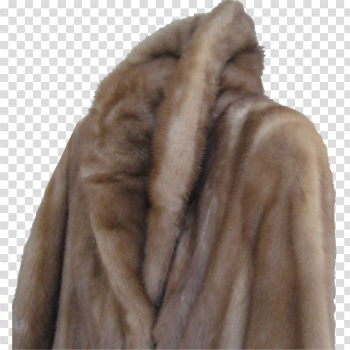 Fur Coat PNG Transparent Image