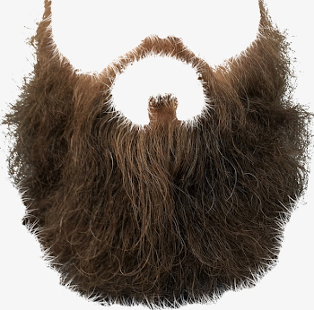 Fur, Hairy, Animal Hair PNG Transparent Image and Clipart for Free ...