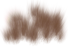 Fur Png (98+ images in Collection) Page 2