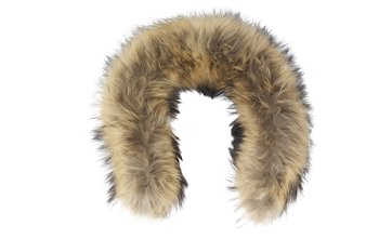 Fur Png Vector, Clipart, PSD - peoplepng.com