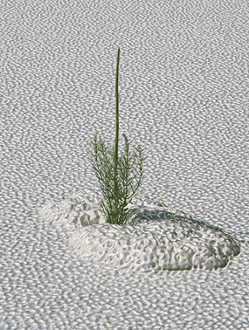 Futuristic Green Sweet Flag Emerging from Silver Rockery