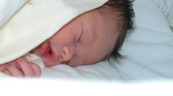 fvig02000051.jpg