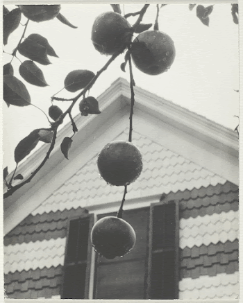 Gable and Apples (1922) by Alfred | Free Photo - rawpixel