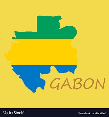 Gabon map and flag in white background vector image