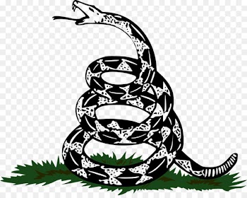 Gadsden flag Snake United States Serpent - anaconda 