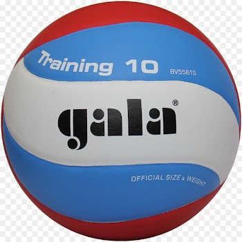 Gala School 10 BV5711S Volleyball Newcomb ball Medicine Balls - volleyball 