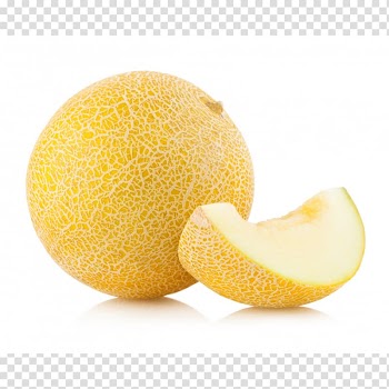Galia melon Cantaloupe Cucurbita maxima Charentais melon, melon transparent background PNG clipart