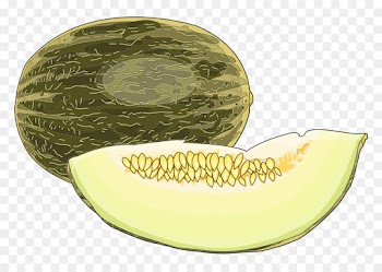 galia muskmelon honeydew cantaloupe melon