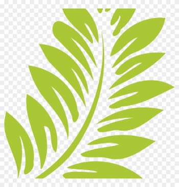Gallery Of Green Leaf Png Clip Art 1980 Free Cloud - Transparent Background Leaf Clip Art