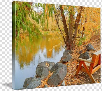 Gallery wrap Fauna Art Canvas Pond, park transparent background PNG clipart