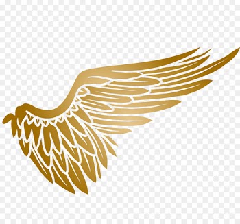 Game On Sports Complex Game On Arena Sports Volleyball Sports league Basketball - Golden wings 