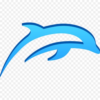 GameCube Dolphin Wii Emulator Cleaning - inspired 