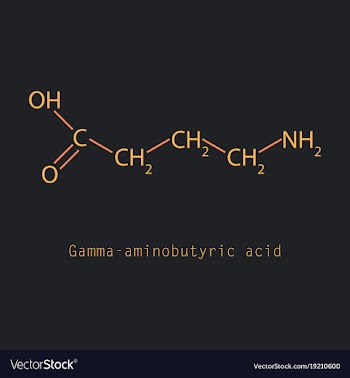 Gamma aminobutyric acid - synaptic vector image