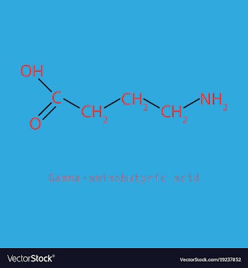 Gamma aminobutyric acid - synaptic vector image