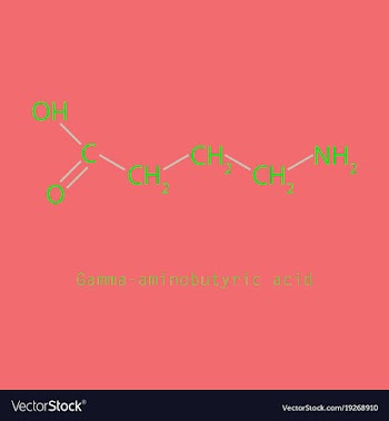 Gamma aminobutyric acid - synaptic vector image