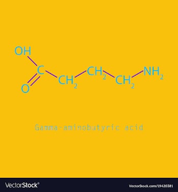 Gamma aminobutyric acid - synaptic vector image
