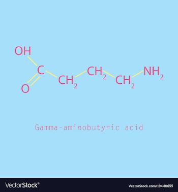 Gamma aminobutyric acid - synaptic vector image
