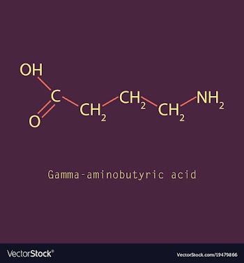 Gamma aminobutyric acid - synaptic vector image