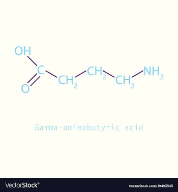 Gamma aminobutyric acid - synaptic vector image