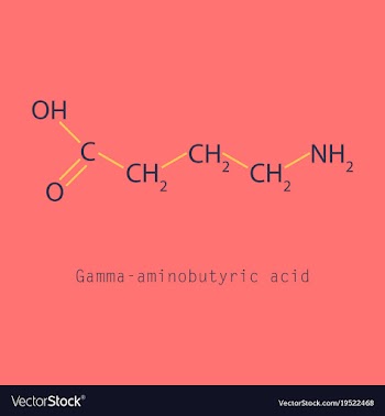 Gamma aminobutyric acid - synaptic vector image