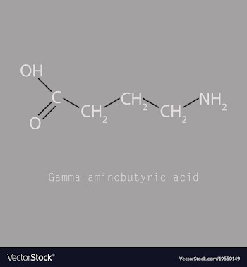 Gamma aminobutyric acid - synaptic vector image