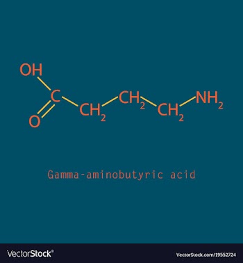 Gamma aminobutyric acid - synaptic vector image