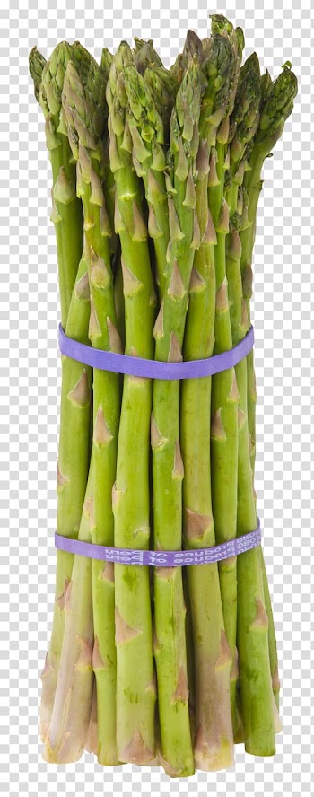 Garden asparagus Leaf vegetable Food, vegetable transparent background PNG clipart