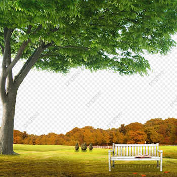 Garden Background Scene With Natural Background, Garden, Vacation ...