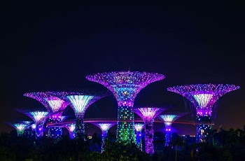 Garden By The Bay in Singapore