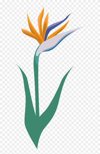 Garden, Flower, Icon, Symbol, Blossom, Logo - Thank You Wedding Party Card