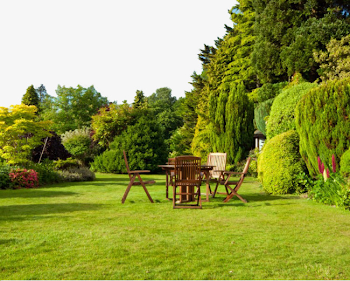 Garden Furniture Views, Garden Vector, Furniture Vector, Natural ...