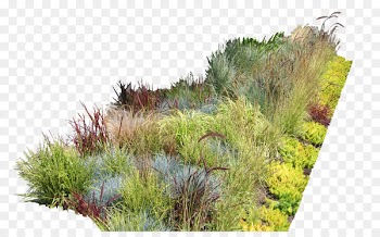 Garden Ideas Garden design Landscaping Landscape design - bushes 