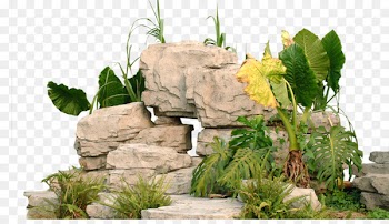 Garden Landscape Park - Park rockery stone 