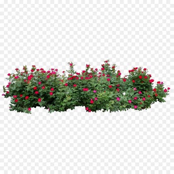 Garden Product Gazebo Landscape architecture Roof -  