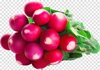 Garden radish Vegetable Desktop Food , vegetable transparent background PNG clipart