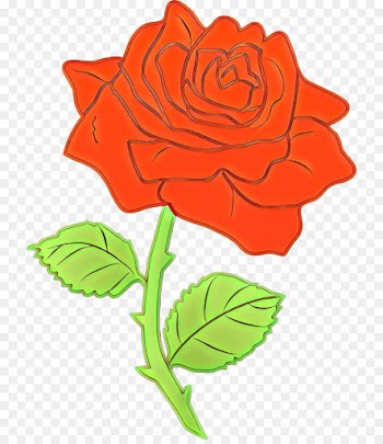 Garden roses