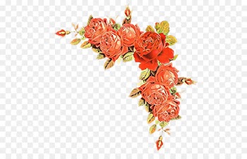 Garden roses