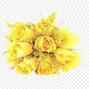 Garden roses