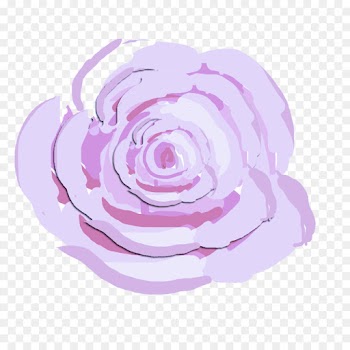 Garden roses