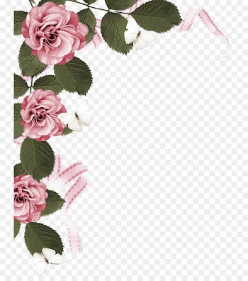 Garden roses