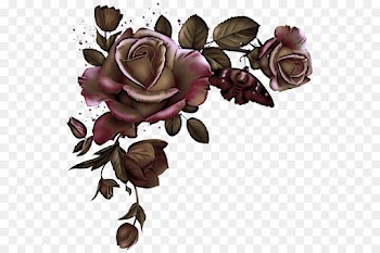 Garden roses