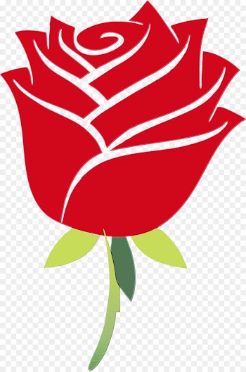 Garden roses