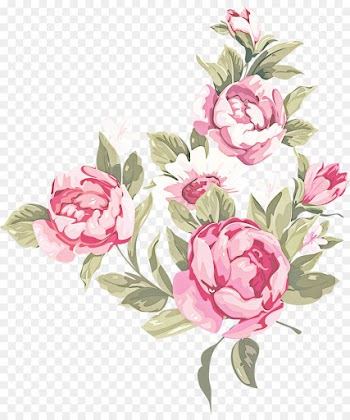 Garden roses